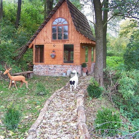 Bed and Breakfast Zbojna Debra Golejów Exterior foto