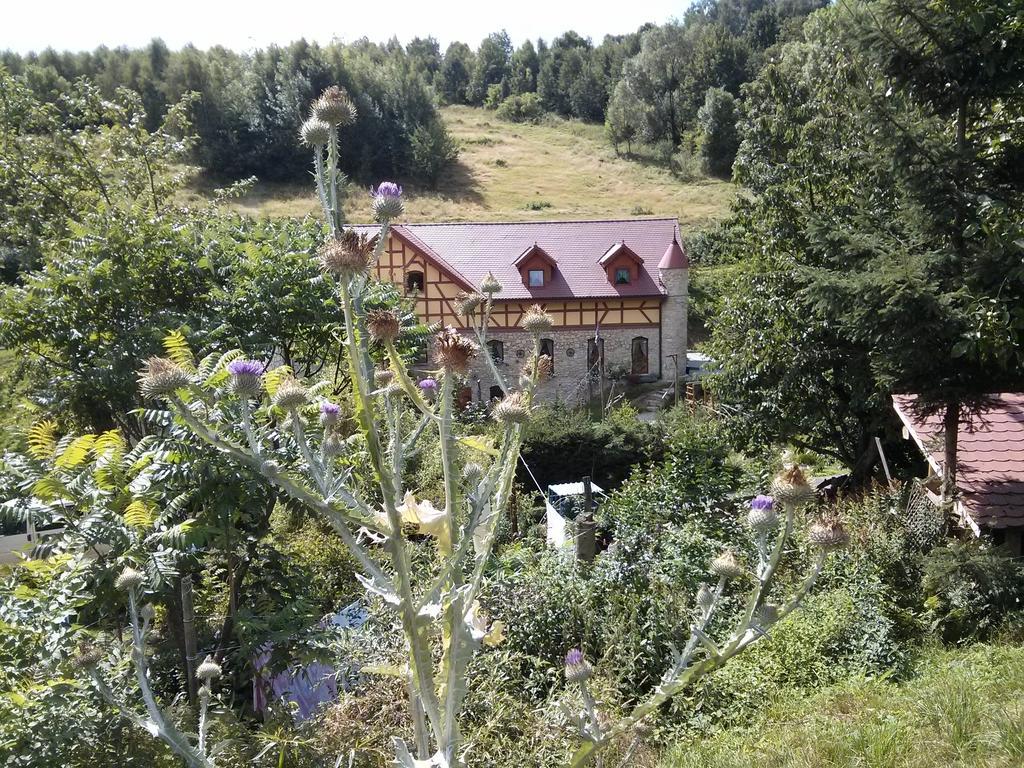 Bed and Breakfast Zbojna Debra Golejów Exterior foto